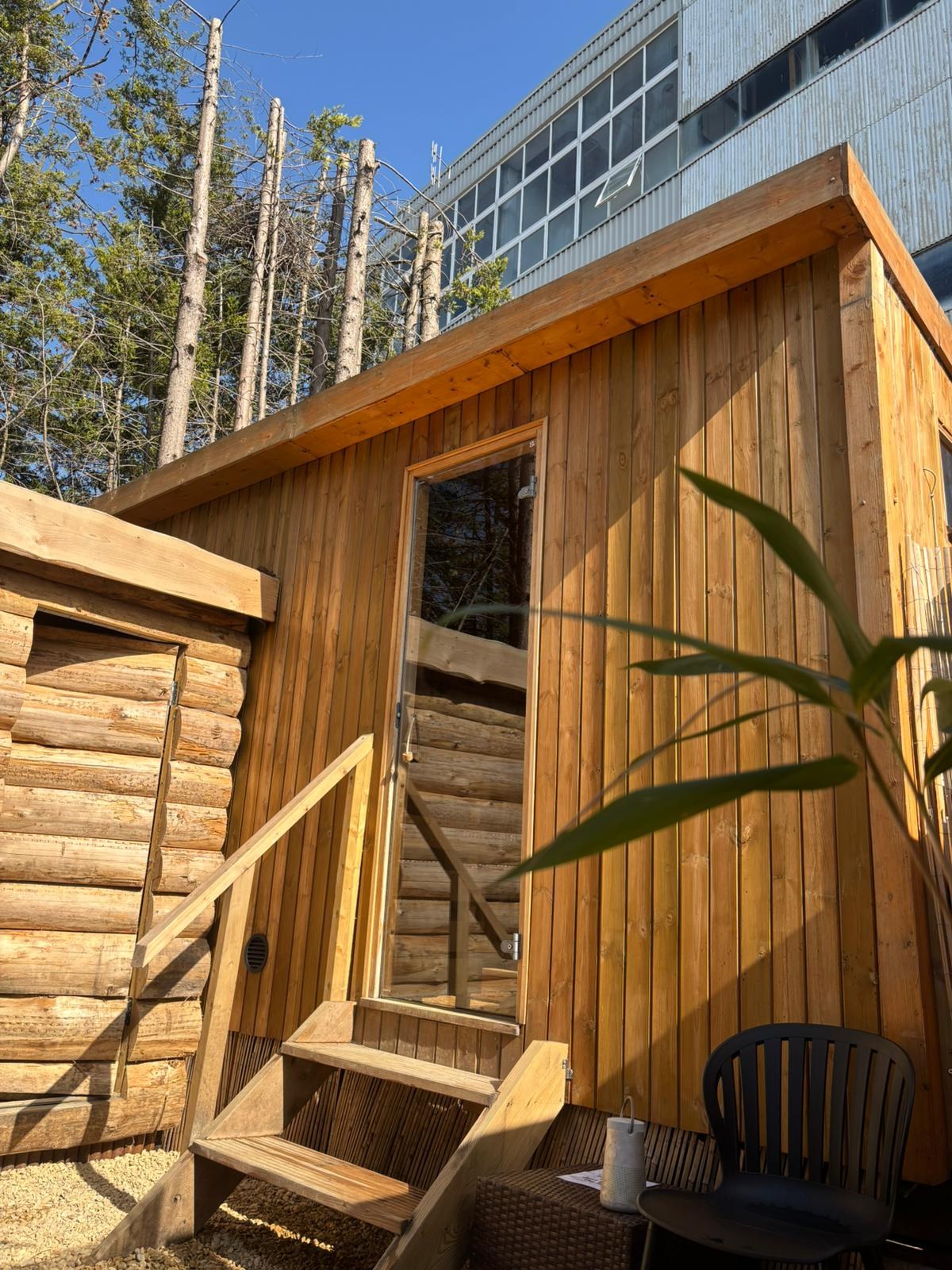 Sunlit timber sauna with a glass door and wooden steps